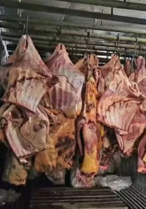 Toneladas de carne imprópria das enchentes no RS foram revendidas por empresa
