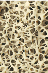 Conheça a nova aposta da medicina para a cicatrização de ossos