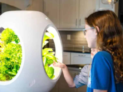 CES 2025: sistema inovador permite cultivo de vegetais em casa