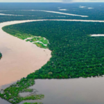 Fluxo do Rio Amazonas já mudou de direção – entenda como isso aconteceu