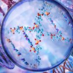 Qual a diferença entre RNA e DNA? Entenda as funções, estrutura e importância para a genética