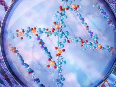 Qual a diferença entre RNA e DNA? Entenda as funções, estrutura e importância para a genética