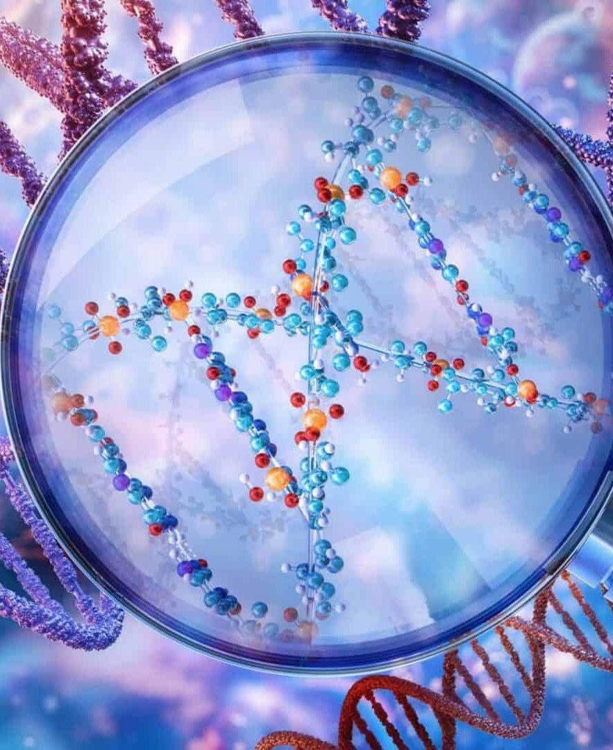 Qual a diferença entre RNA e DNA? Entenda as funções, estrutura e importância para a genética