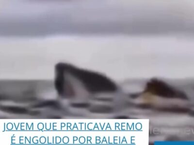 Jovem que praticava remo é engolido por baleia e cuspido em seguida; VEJA VÍDEO