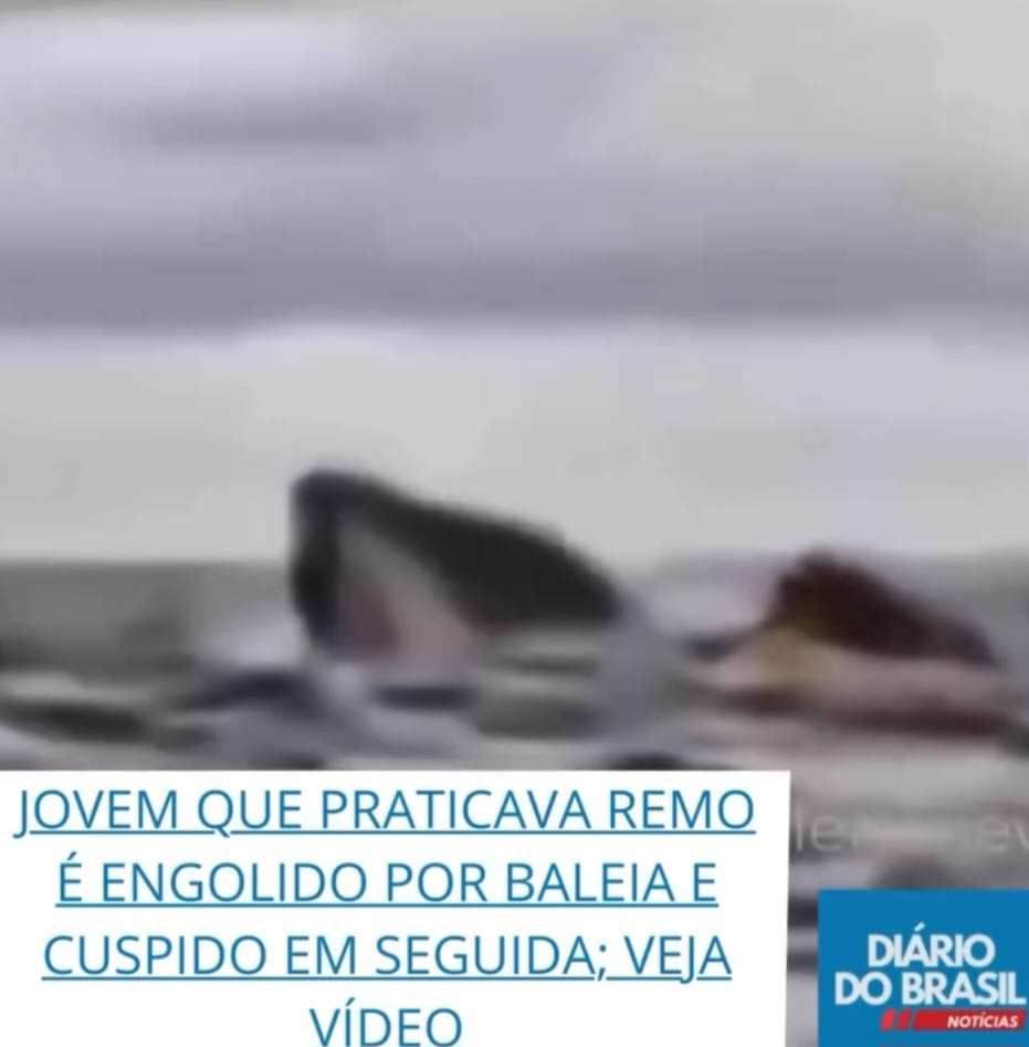 Jovem que praticava remo é engolido por baleia e cuspido em seguida; VEJA VÍDEO