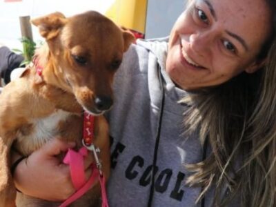 Feira de adoção de pets acontece amanhã em Marília e promove a posse responsável.Todos castrados,vermifugados e atémicrochipados