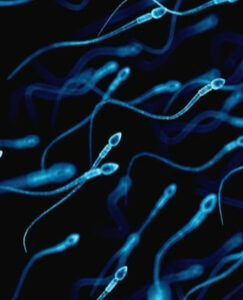 O que o esperma pode indicar sobre sua saúde? Aprenda a manter um sêmen mais saudável