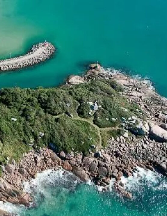 Lagoa de Florianópolis é uma das mais contaminadas do mundo por cocaína