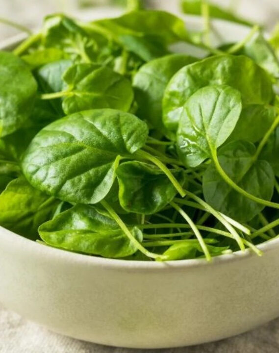 O vegetal mais saudável do planeta está na feira, mas poucos levam para casa