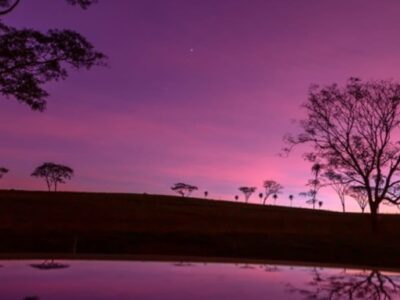 Exposição “Paisagens Sonoras” de Luciana Crepaldi convida o público a redescobrir a natureza de Marília. E ainda com sorteio de obra. Saiba mais