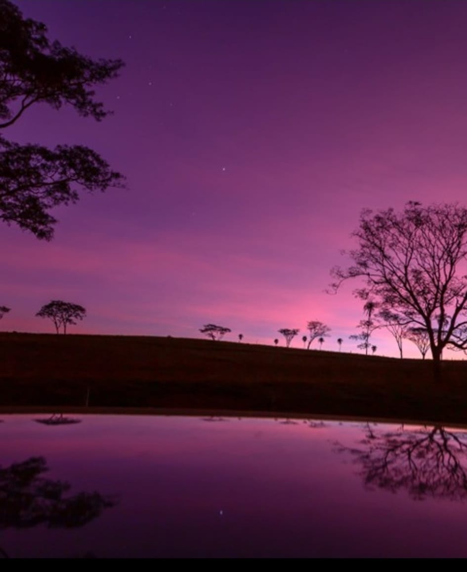 Exposição “Paisagens Sonoras” de Luciana Crepaldi convida o público a redescobrir a natureza de Marília. E ainda com sorteio de obra. Saiba mais