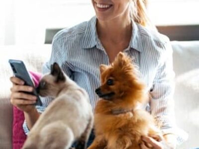 PetPhone: conheça o ‘celular’ para os seus bichinhos A ideia é que o PetPhone fique na coleira do seu animalzinho. Veja como comprar e vídeo