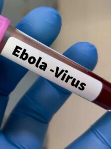 Cura para um dos vírus mais letais do mundo pode ter sido descoberta