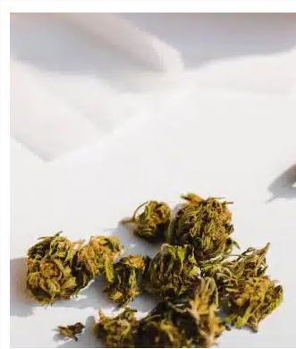 Inusitado! Homem denuncia traficante à polícia após levar ‘calote’ e registra B.O