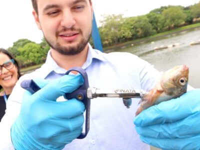 Egresso do Mestrado em Saúde Animal, Produção e Ambiente da Unimar cria vacina para tilápias e conquista o mercado internacional. Entenda