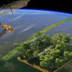 Europa lança ‘balança no espaço’ para saber o peso de todas as árvores na Terra