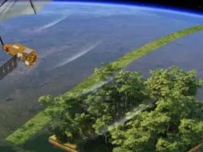 Europa lança ‘balança no espaço’ para saber o peso de todas as árvores na Terra