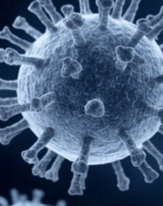 Novas evidências indicam que a Covid foi criada em um laboratório chinês