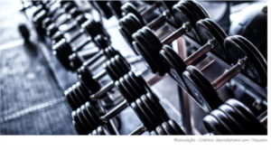 Os erros comuns que estão travando seus resultados na musculação