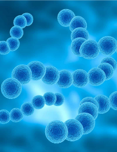 Bactéria “comedora de carne” está mais resistente a antibióticos
