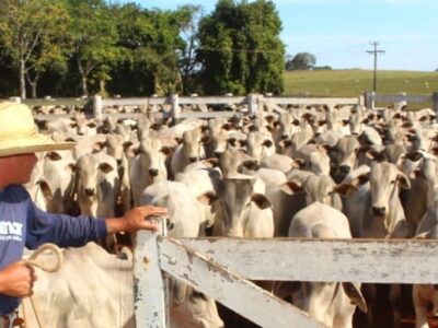 XV Simpósio de Produção e Reprodução Animal reúne grandes nomes da Medicina Veterinária na Unimar,voltado a estudantes, egressos, profissionais e pesquisadores