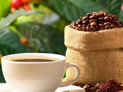 O que cafés com impurezas e micotoxinas causam à saúde?
