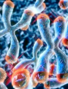 Suplementos de vitamina D podem retardar o envelhecimento biológico. Estudo foi publicado no The American Journal of Clinical Nutrition