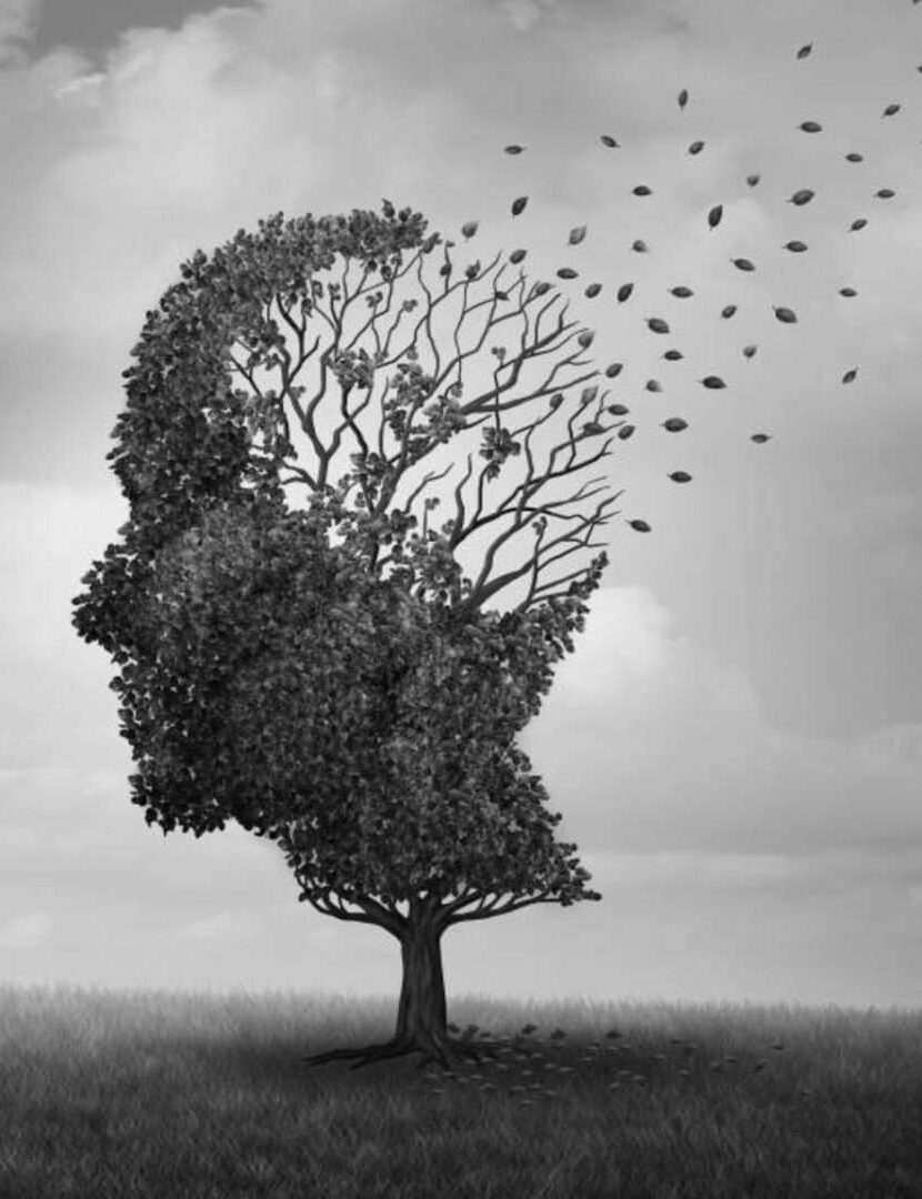 Como é o exame de sangue que detecta Alzheimer aprovado nos EUA