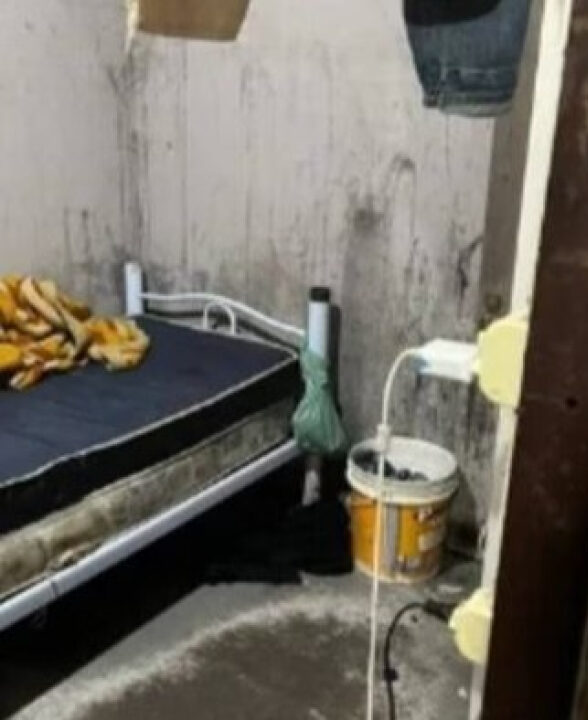 Vivendo em meio ao lixo: ‘Escravos do vinho’ habitavam locais imundos com alimentos apodrecidos