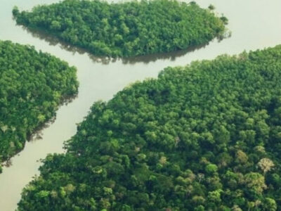 Retórica verde, prática vermelha: degradação da Amazônia avança 163% sob Lula