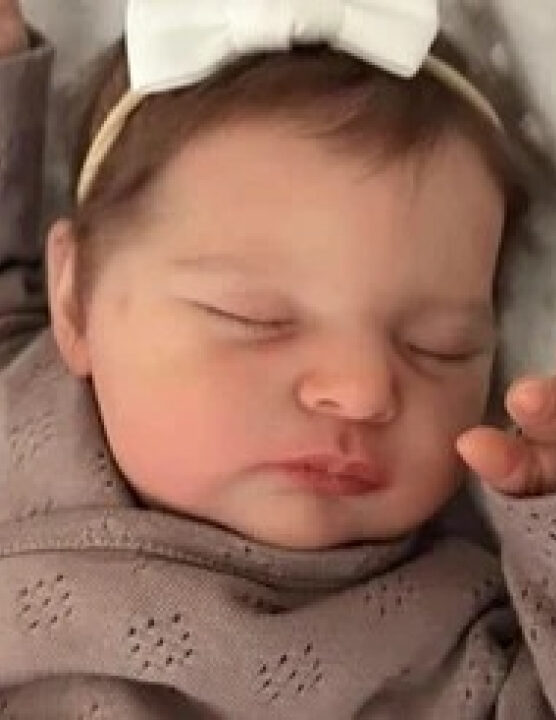 BEBÊS REBORN: Saiba como é a maternidade das bonecas que podem custar 9,5 mil; VEJA VÍDEO