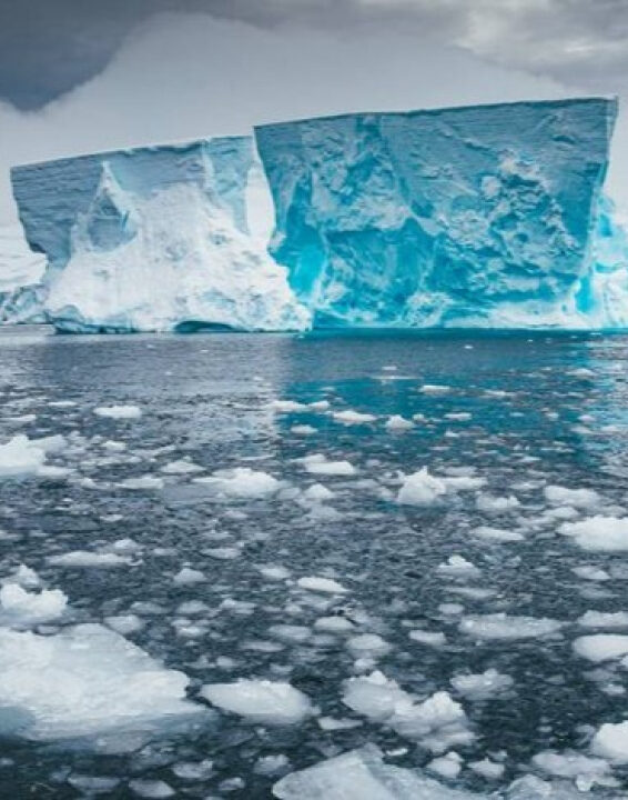 Reviravolta no clima: Antártida registra expansão da camada de gelo após décadas de perda