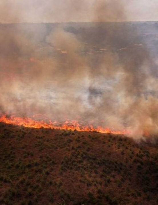 Brasil em chamas: país lidera o ranking global de incêndios em 2024