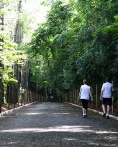 Meio ambiente: Bosque Municipal retoma agendamento de visitas monitoradas. Ação é importante ferramenta de conscientização