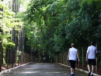 Meio ambiente: Bosque Municipal retoma agendamento de visitas monitoradas. Ação é importante ferramenta de conscientização