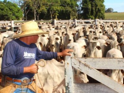 Reta final das inscrições para o Mestrado Profissional em Saúde Animal, Produção e Ambiente da Unimar. Se inscreva por aqui