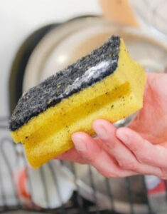 Você sabe quando trocar sua esponja de lavar louça? Expert faz alerta