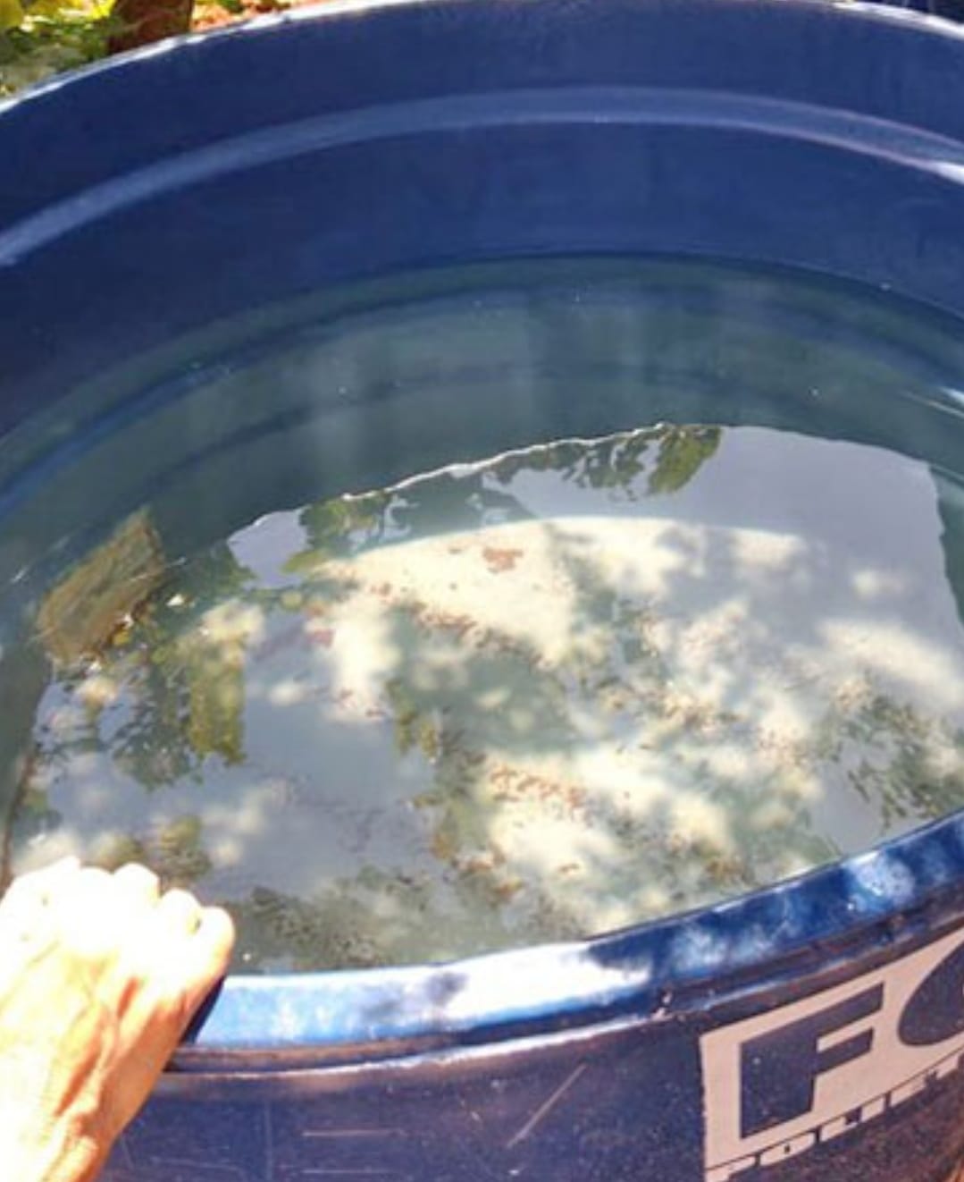 Marília registra mais um óbito em decorrência da dengue este ano, num total de 30 mortes pela doença. Média de seis vítimas por mês pelo descaso de parte da população