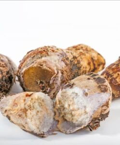 Glucomanano: a fibra asiática que pode auxiliar no controle do peso e da saúde intestinal e vem ganhando mais espaço nas dietas modernas