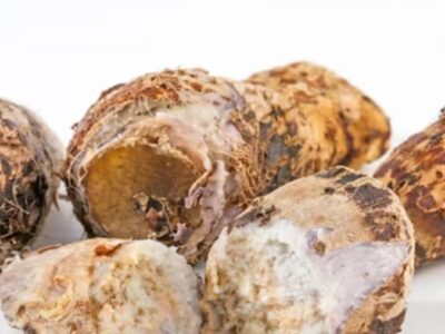 Glucomanano: a fibra asiática que pode auxiliar no controle do peso e da saúde intestinal e vem ganhando mais espaço nas dietas modernas