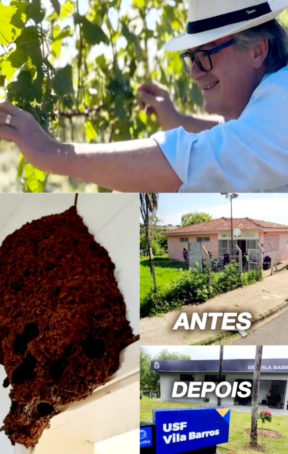 O FIM DOS CUPINS E O CULTIVO DE UVAS. CONFIRA VÍDEO COM DANIEL ALONSO: A “CARA DA RIQUEZA!”