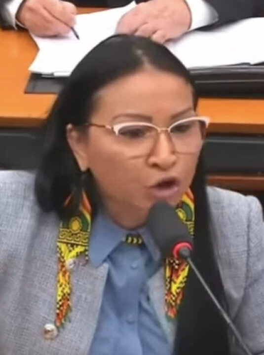 Encontro tenso: Deputada Waiãpi bate de frente com Marina Silva; VEJA VÍDEO