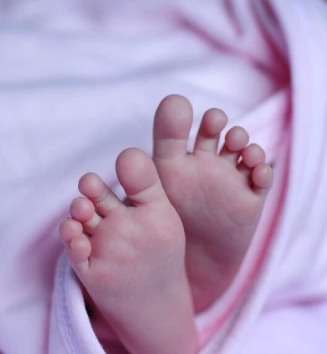 Casal gay é preso ao comprar bebê por R$ 500 no Amazonas