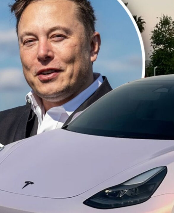 Elon Musk afirma que os donos do Tesla poderão alugar seus carros para a frota de robotáxis em 2026