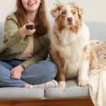 Estudo mostra que cães reagem ao que passa na TV — e de várias maneiras