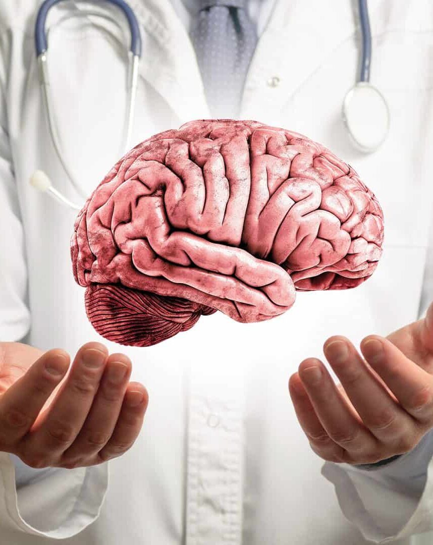 O que são e para que servem as amígdalas cerebrais?