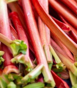 Pesquisadores encontram nova arma contra superbactérias