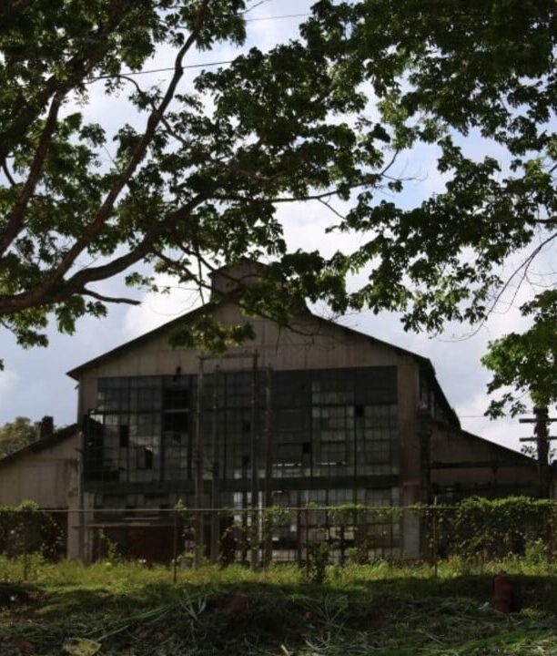 Conheça a cidade perdida da Ford na Amazônia que virou ruína fantasma esquecida