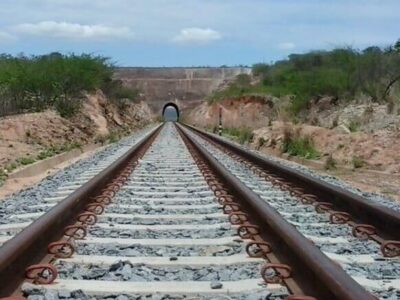 O impacto da Transnordestina no agronegócio e na economia local