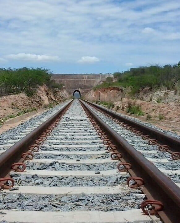 O impacto da Transnordestina no agronegócio e na economia local